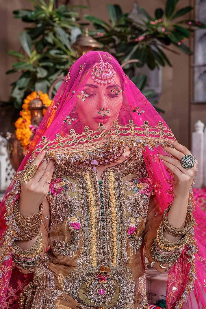 Pure Resham Mesuri Embroidered - Image 9