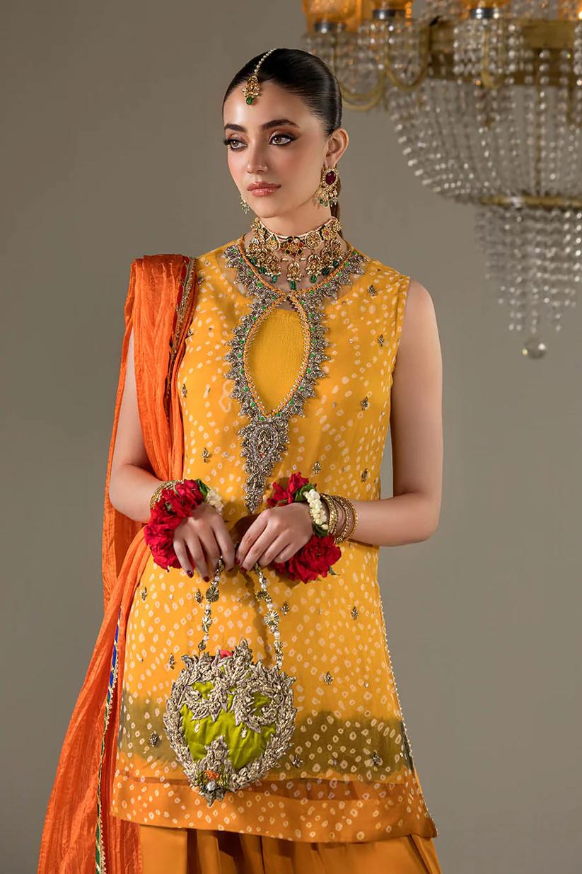 Chiffon & Silk Embroidered Suit - Image 12