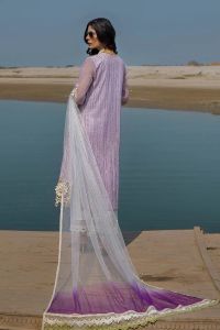 Cotton Chikan 3D Embroidered - Thumbnail 23