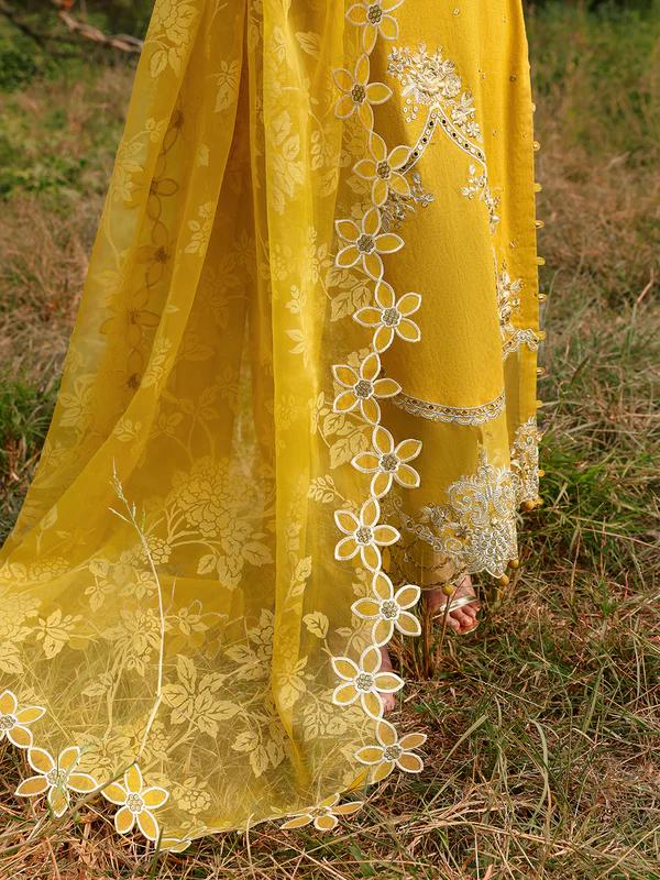 Luxury Chikankari Jacquard Suit with Organza Dupatta - Image 6