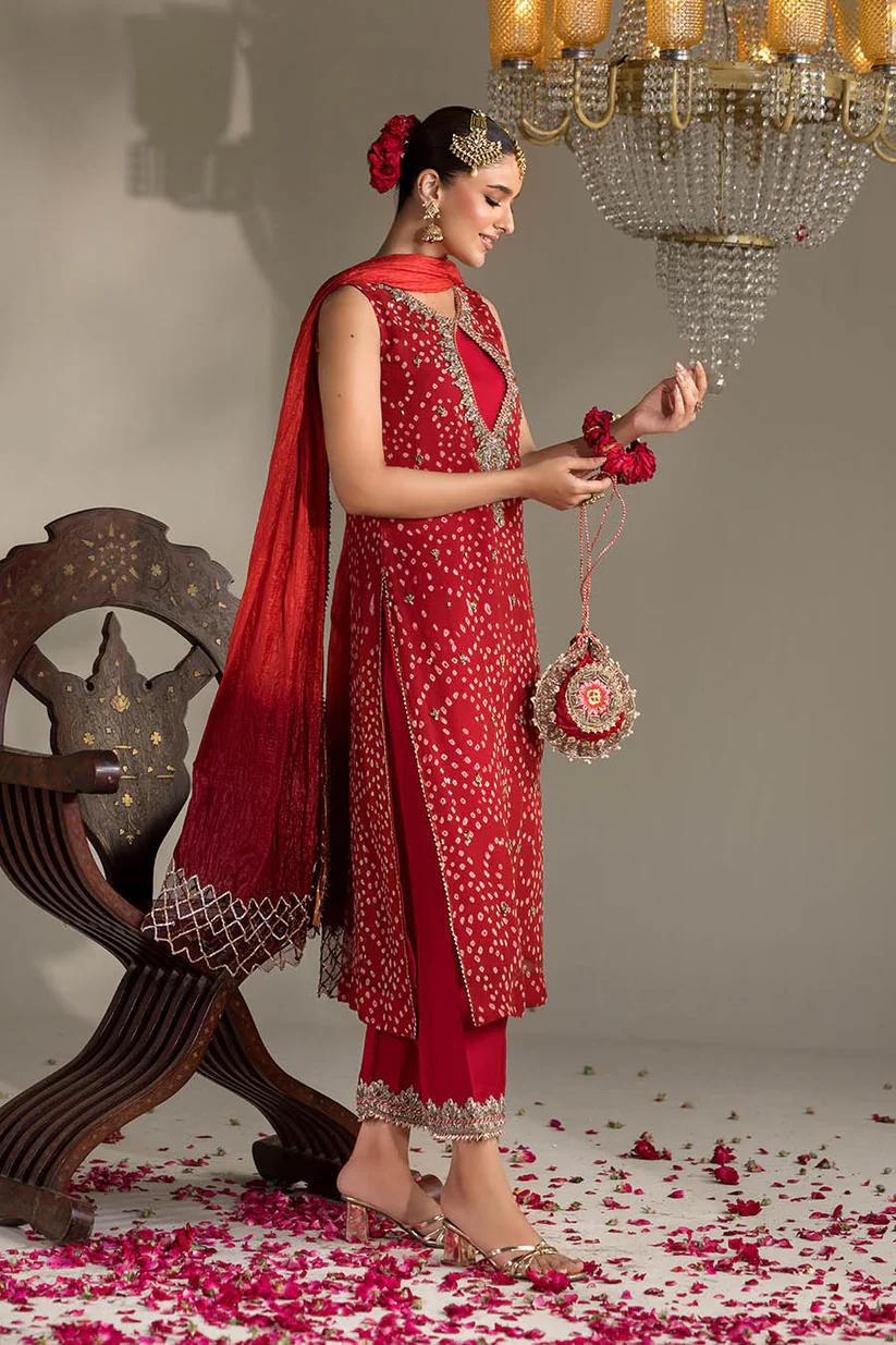 Chiffon & Silk Embroidered Suit - Image 8