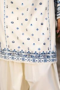 Multi-Thread Embroidered Shirt with Classic Shalwar - Thumbnail 5