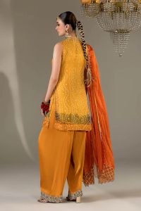 Chiffon & Silk Embroidered Suit - Thumbnail 13