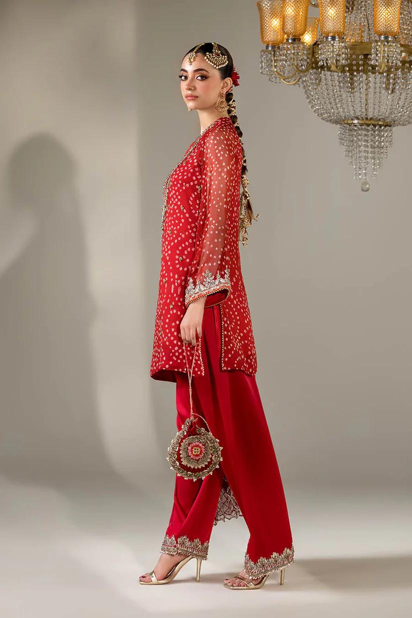 Chiffon & Silk Embroidered Suit - Image 2