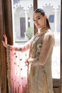 3D Zardozi Mesuri Shirt & Indian Crush Silk - Thumbnail 8