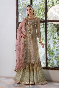 3D Zardozi Mesuri Shirt & Indian Crush Silk - Thumbnail 1