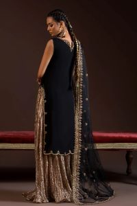 Kora Dabka Chiffon Shirt & Gotta Work Dupatta - Thumbnail 3