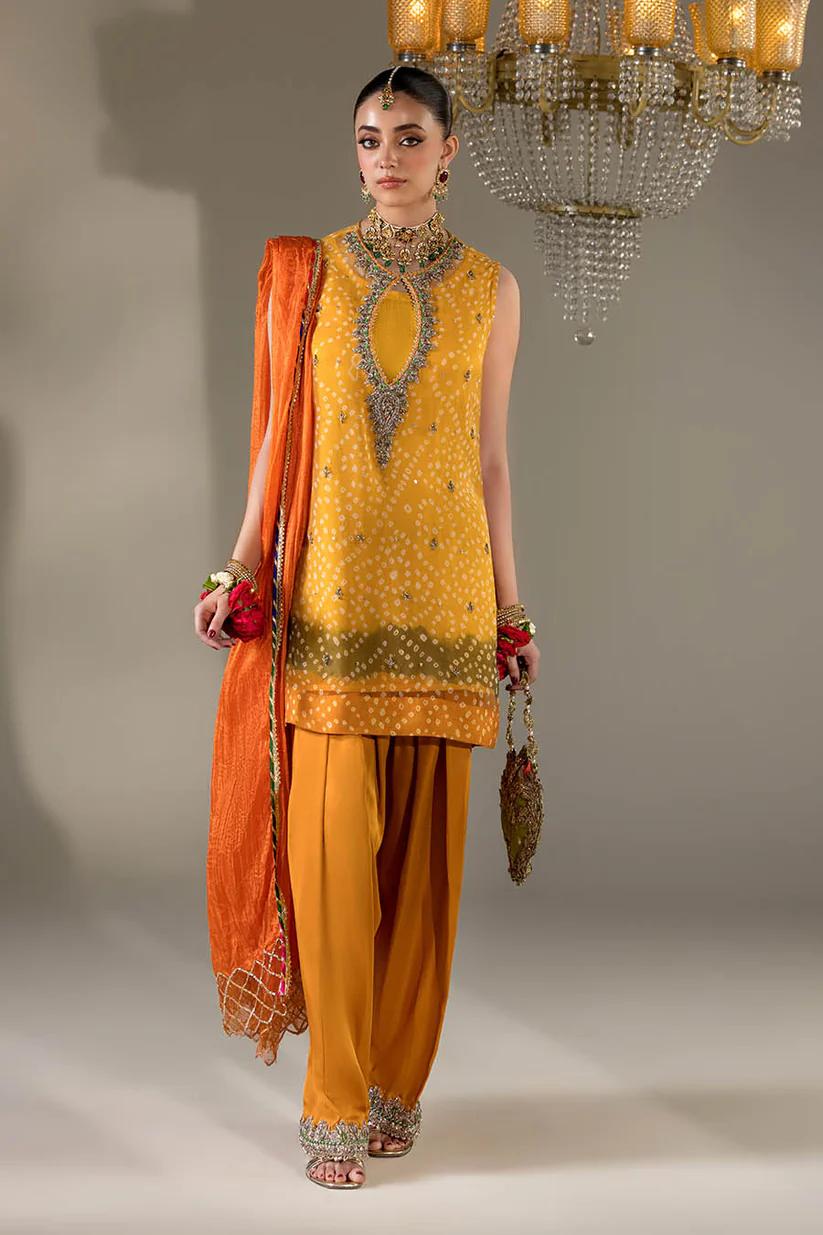 Chiffon & Silk Embroidered Suit - Image 11