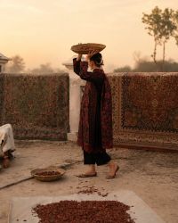 Embroidered Lace Lawn Ensemble - Thumbnail 6