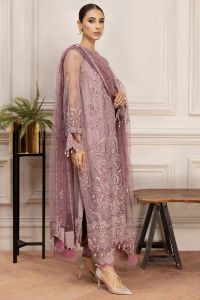 Embroidered Net Suit with Silk Trouser - Thumbnail 4