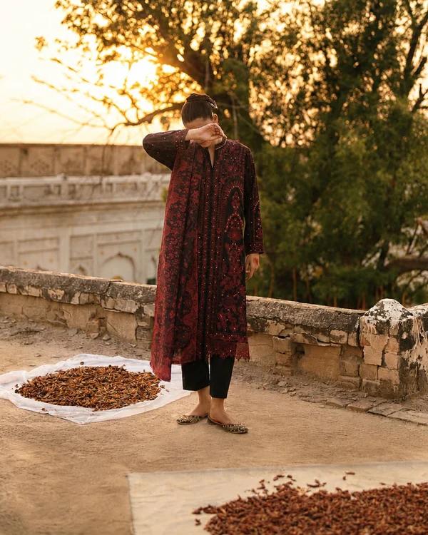 Embroidered Lace Lawn Ensemble - Image 1