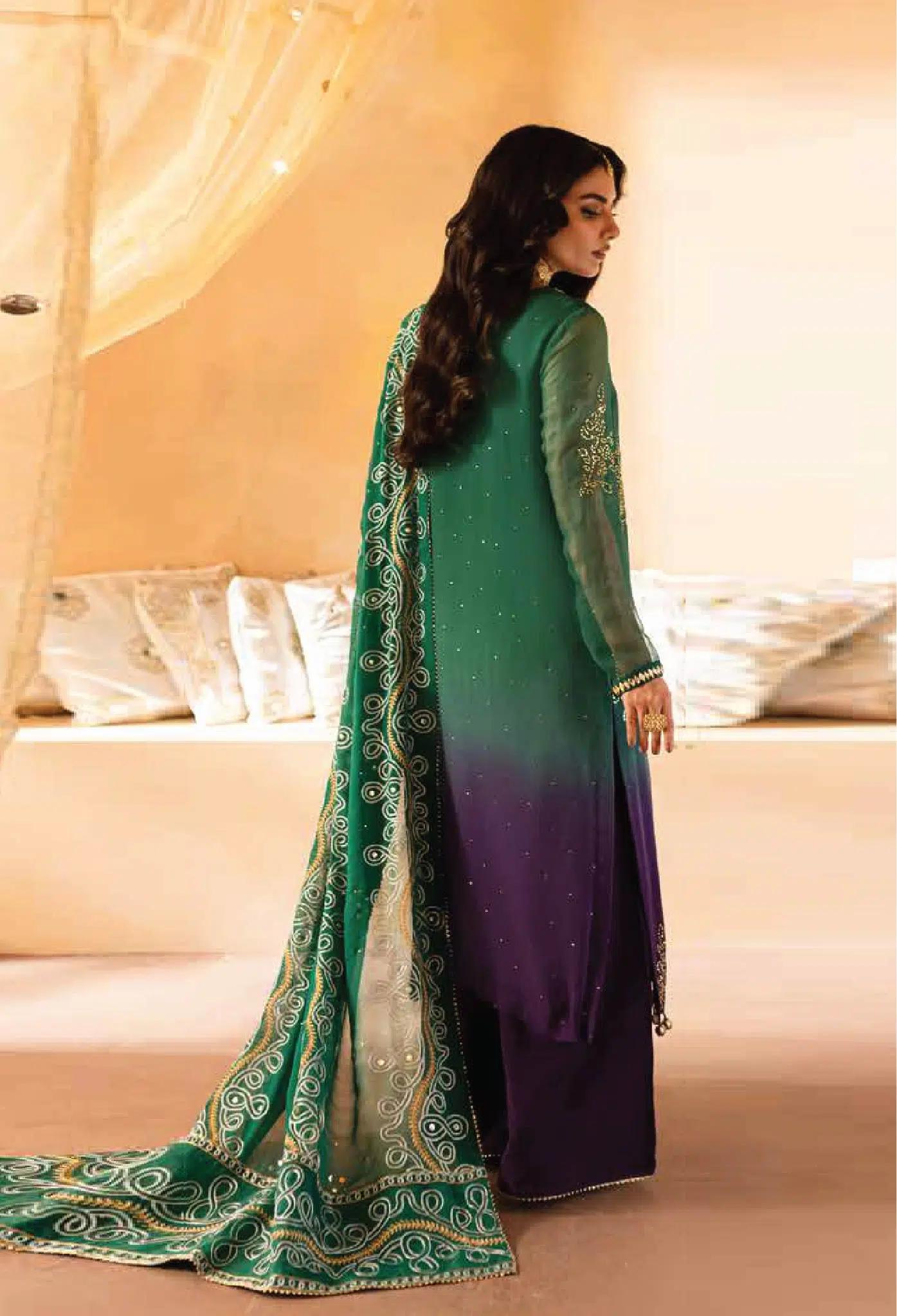 Mukeshkari Chiffon Suit - Image 3