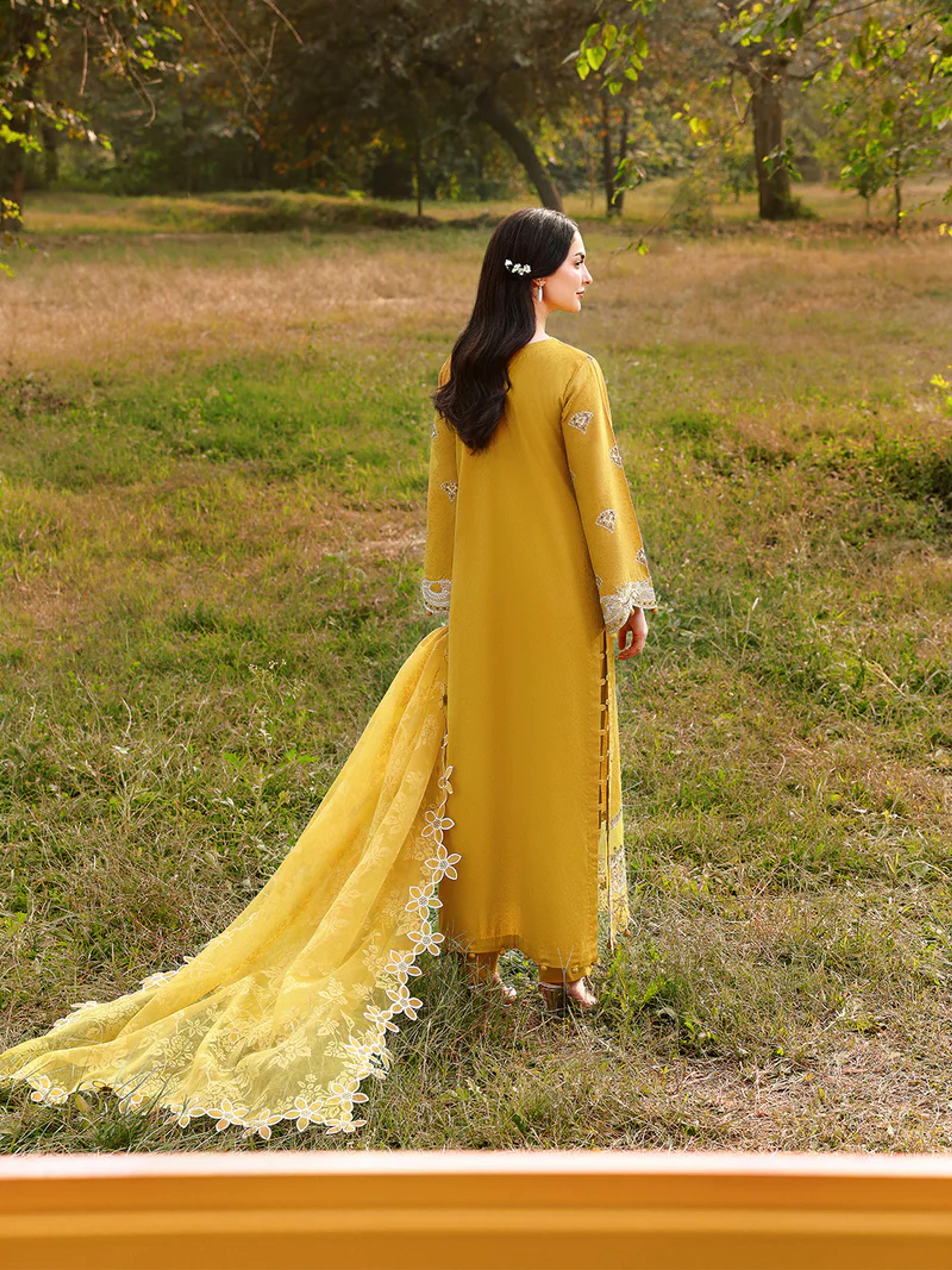 Luxury Chikankari Jacquard Suit with Organza Dupatta - Thumbnail 7