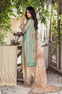 Pure Resham Mesuri Zardozi Suit - Thumbnail 5
