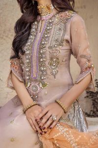Pure Resham Mesuri Zardozi Suit - Thumbnail 13