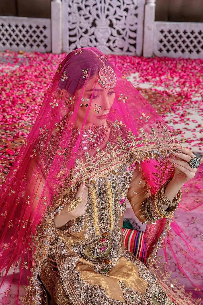 Pure Resham Mesuri Embroidered - Image 10