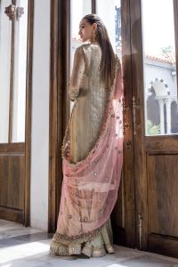 3D Zardozi Mesuri Shirt & Indian Crush Silk - Thumbnail 10