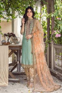 Pure Resham Mesuri Zardozi Suit - Thumbnail 3