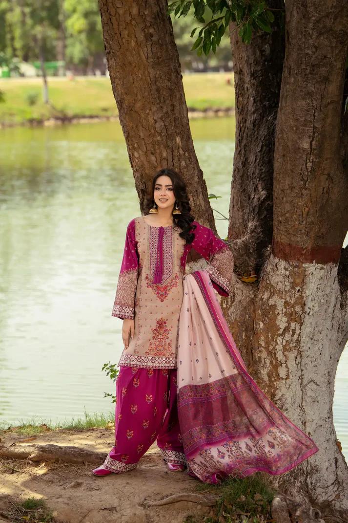 Traditional Ethnic Set with Apple Silk & Farshi Shalwar - Image 2