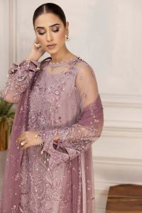 Embroidered Net Suit with Silk Trouser - Thumbnail 3
