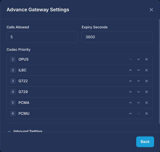 RingQ Advance Gateway Settings with Calls Allowed set to 5 and OPUS first in Codec Priority