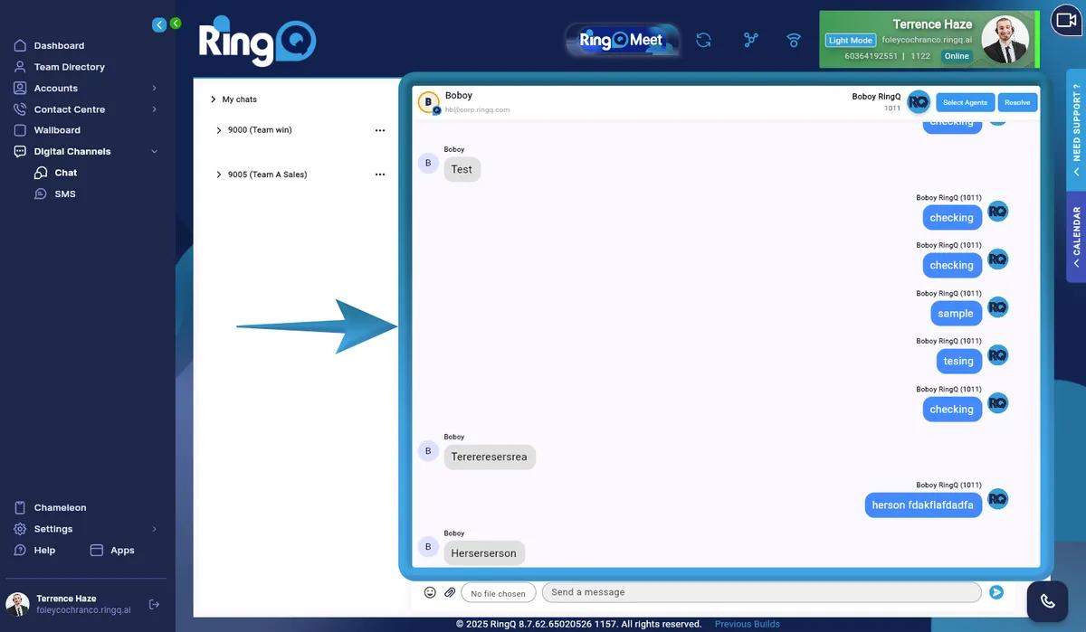 Main Chat Panel