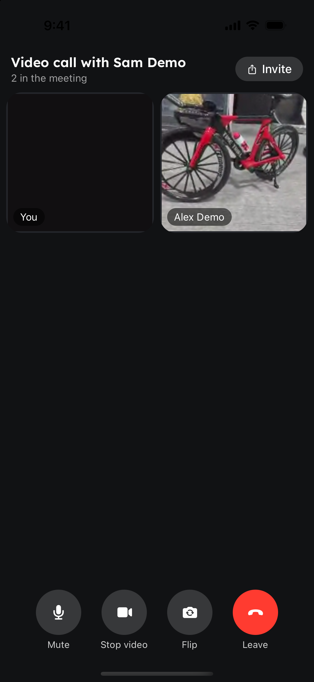 Two-person RingQ video call with camera and mute controls