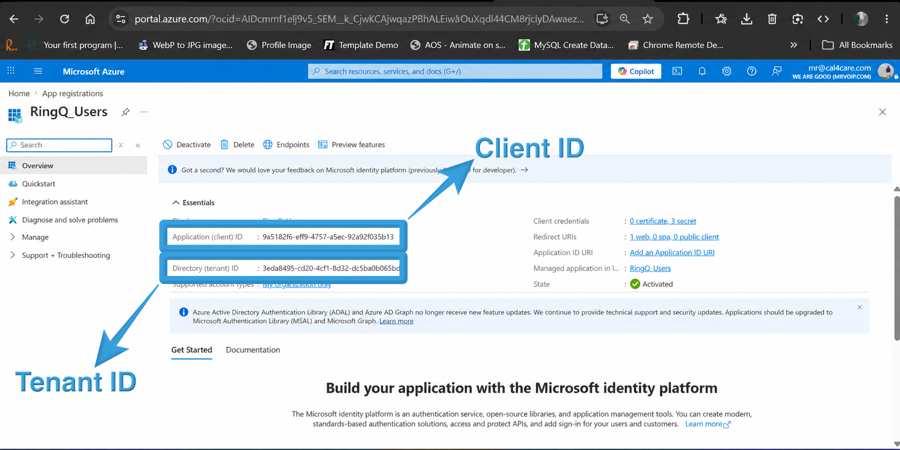 Copy the Application Details: After opening the RingQ Users application, copy the Application (Client) ID