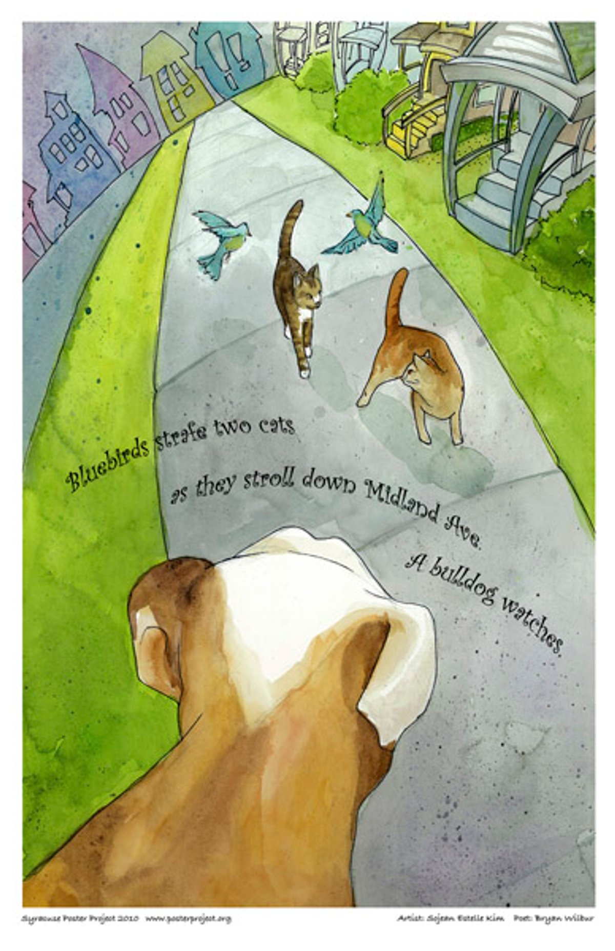 A bulldog watches two bluebirds fly around two nearby cats