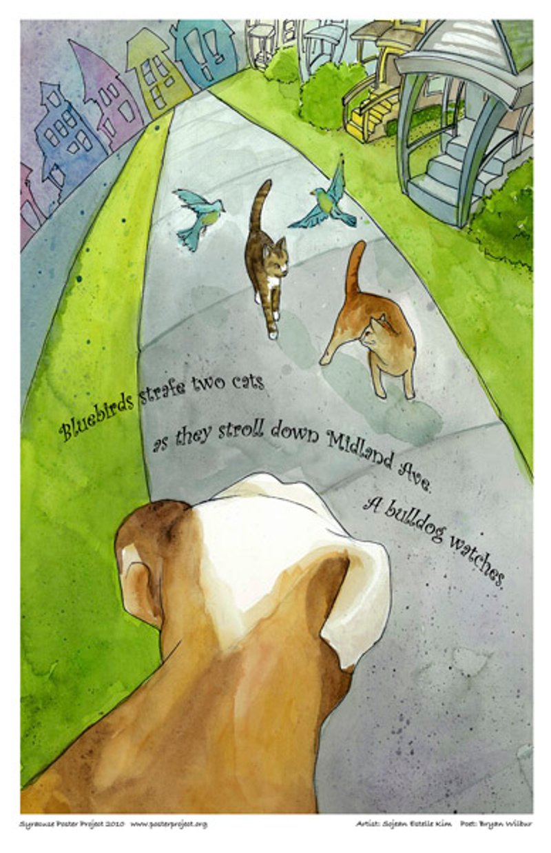 A bulldog watches two bluebirds fly around two nearby cats