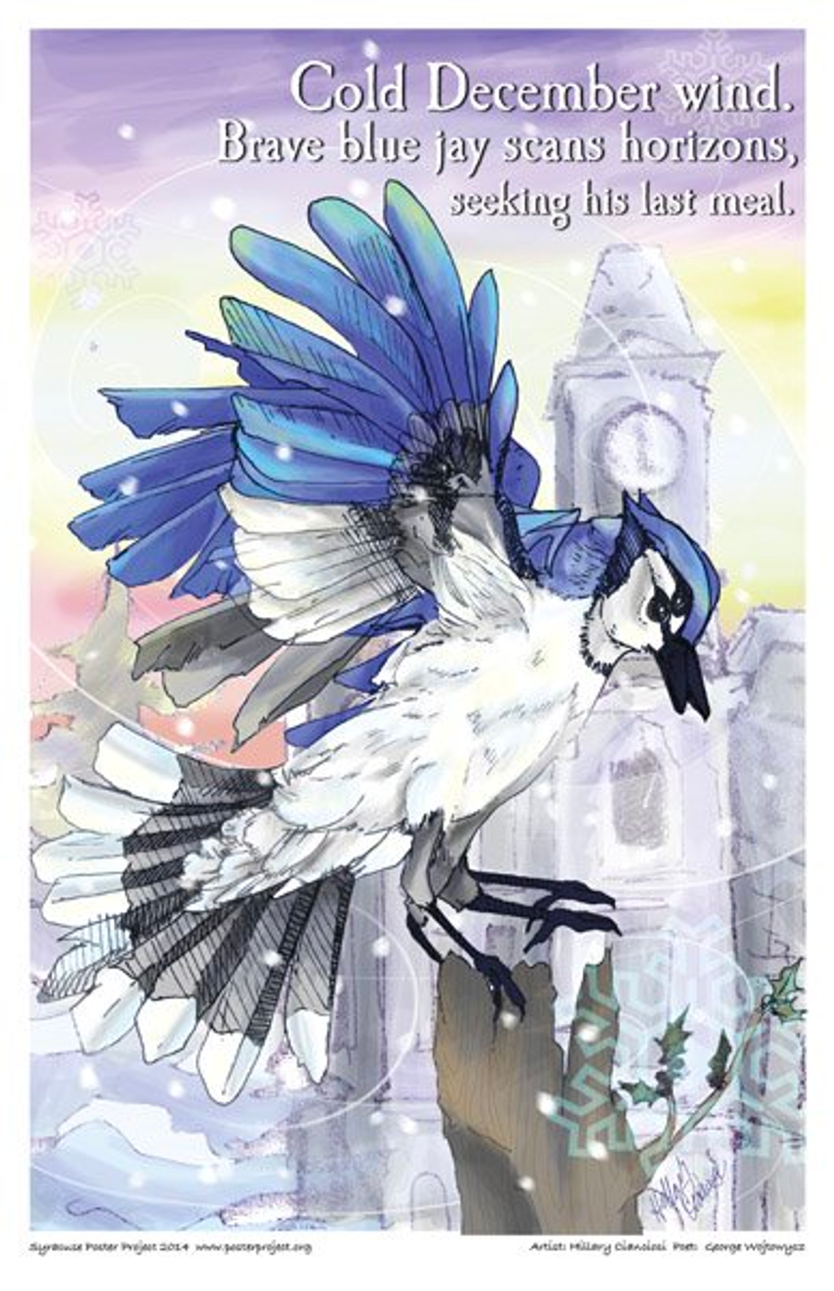 A blue jay lands on a treetop amid a light snowfall