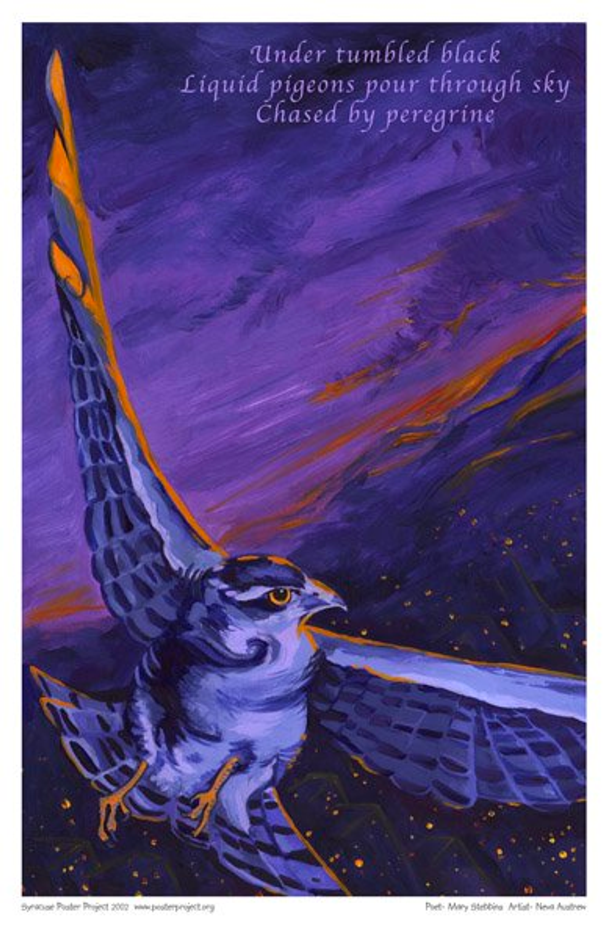 Under tumbled black
Liquid pigeons pour through sky
Chased by peregrine. A peregrine falcon flies at night above city lights