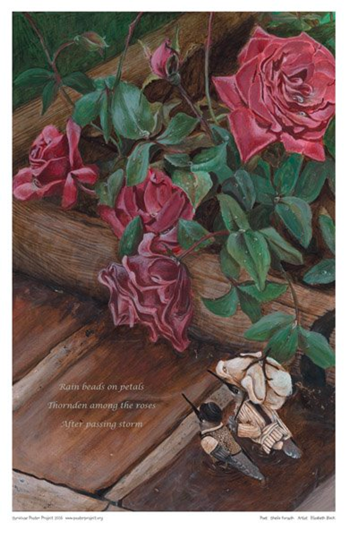 Rain beads on petals
Thornden among the roses
After passing storm Rain Beads on Petals