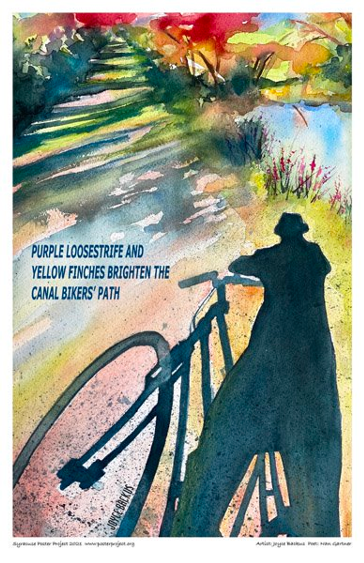 Purple loosestrife and
yellow finches brighten the
canal bikers' path Shadow of a cyclist standing with bike with colorful bike path stretching ahead