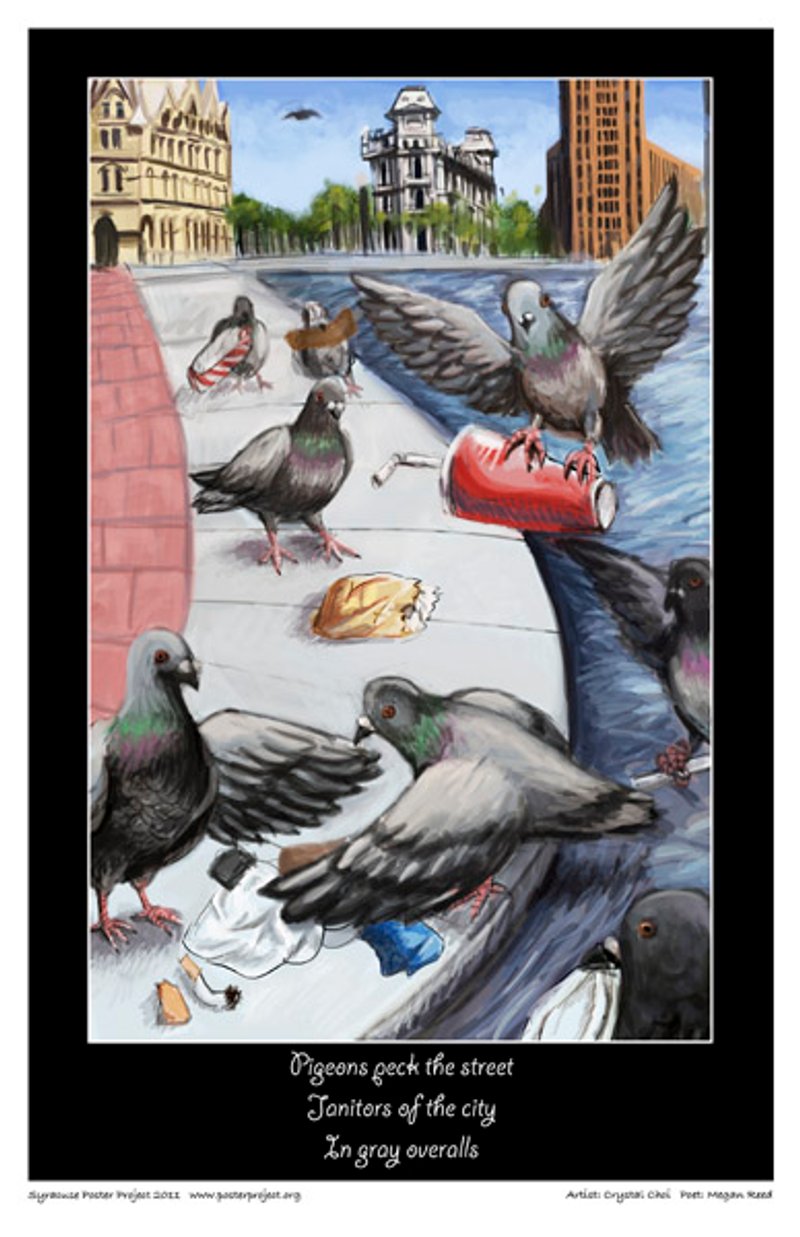 Pigeons pick through littered trash at a city park