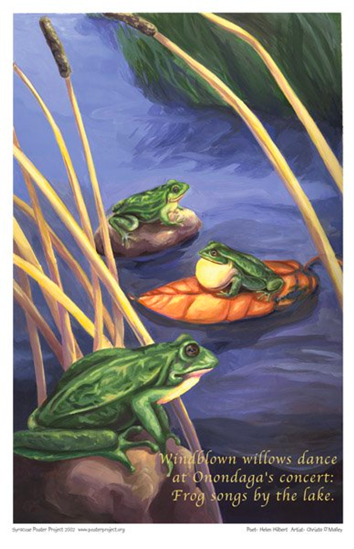 Three frogs sit near water