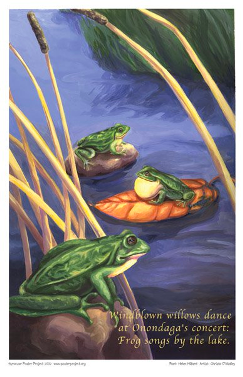 Three frogs sit near water