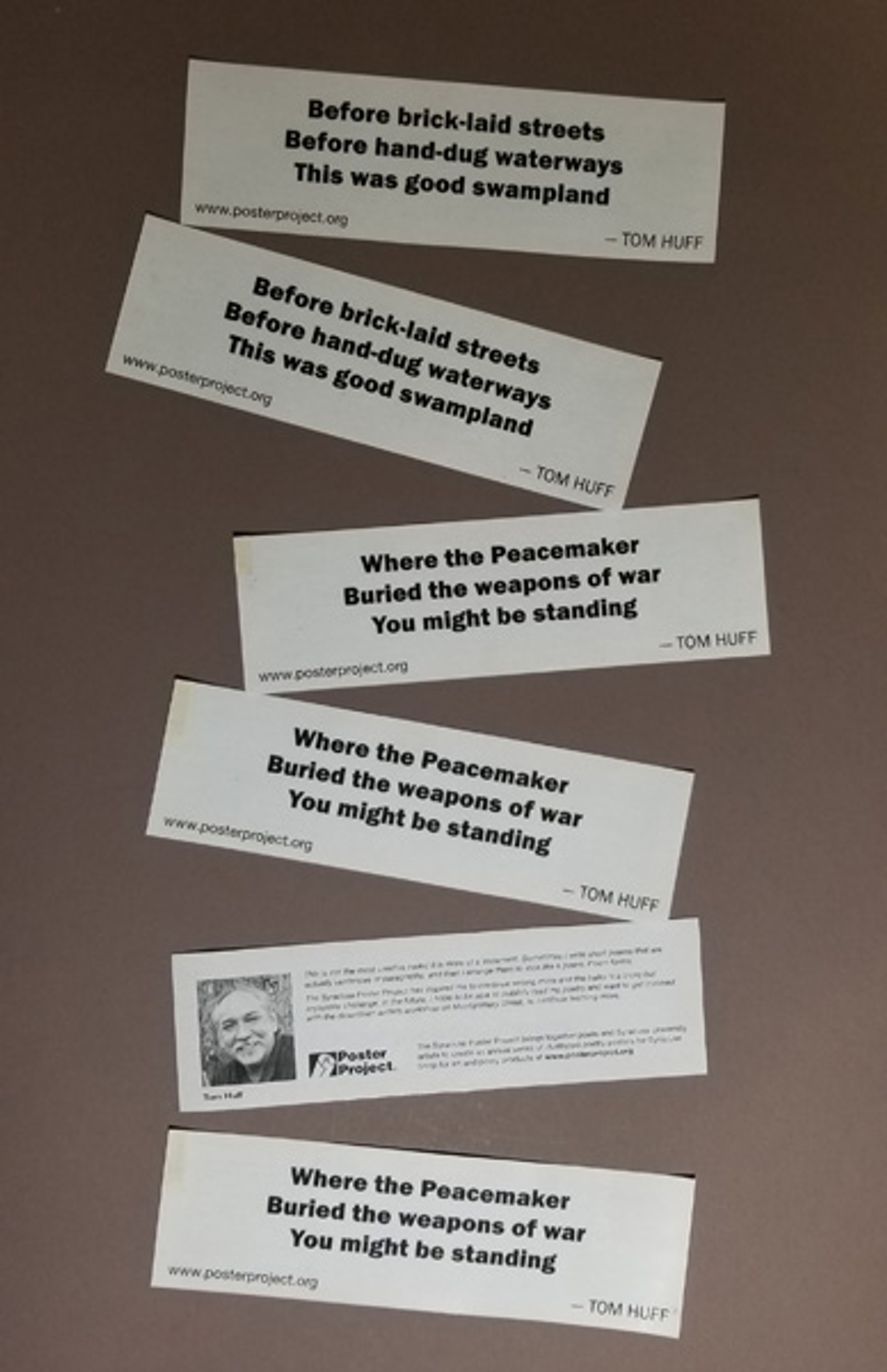 Bumper Sticker: This Was Good Swampland