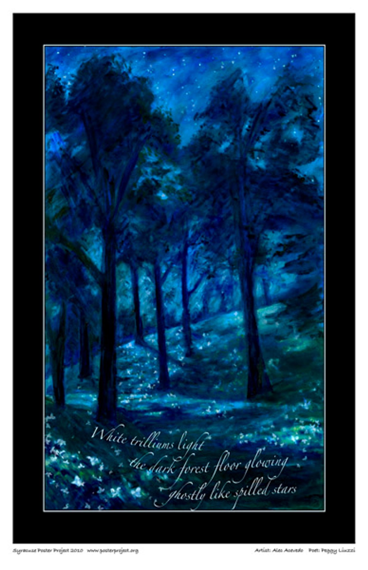 A woods at nighttime with starlight above throwing shade from the trees onto gently rolling hills