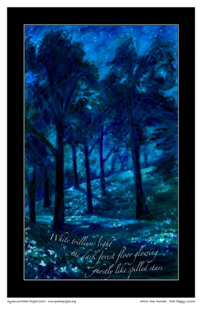 A woods at nighttime with starlight above throwing shade from the trees onto gently rolling hills