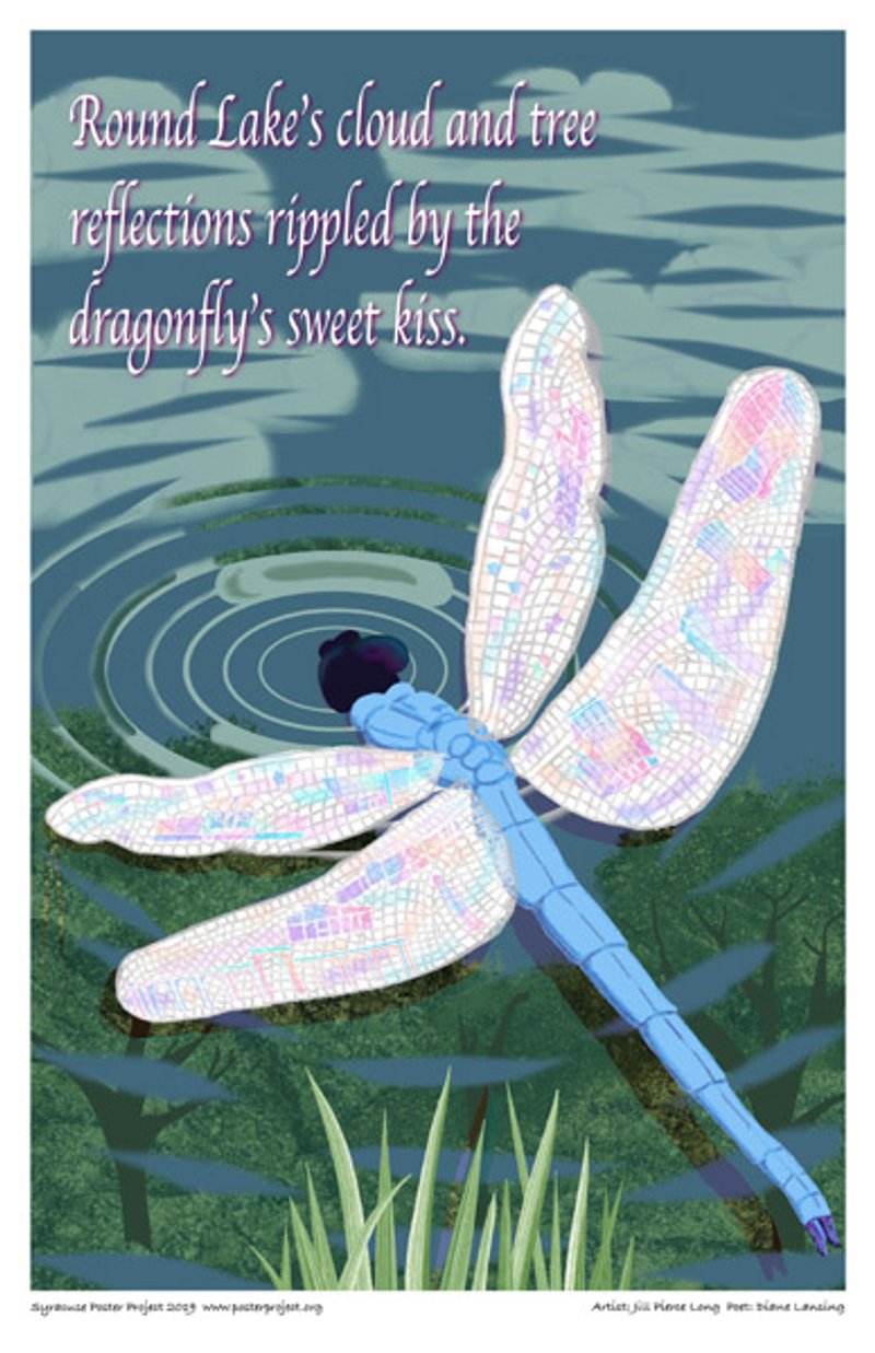 A colorful dragonfly lands on the surface of a lake 