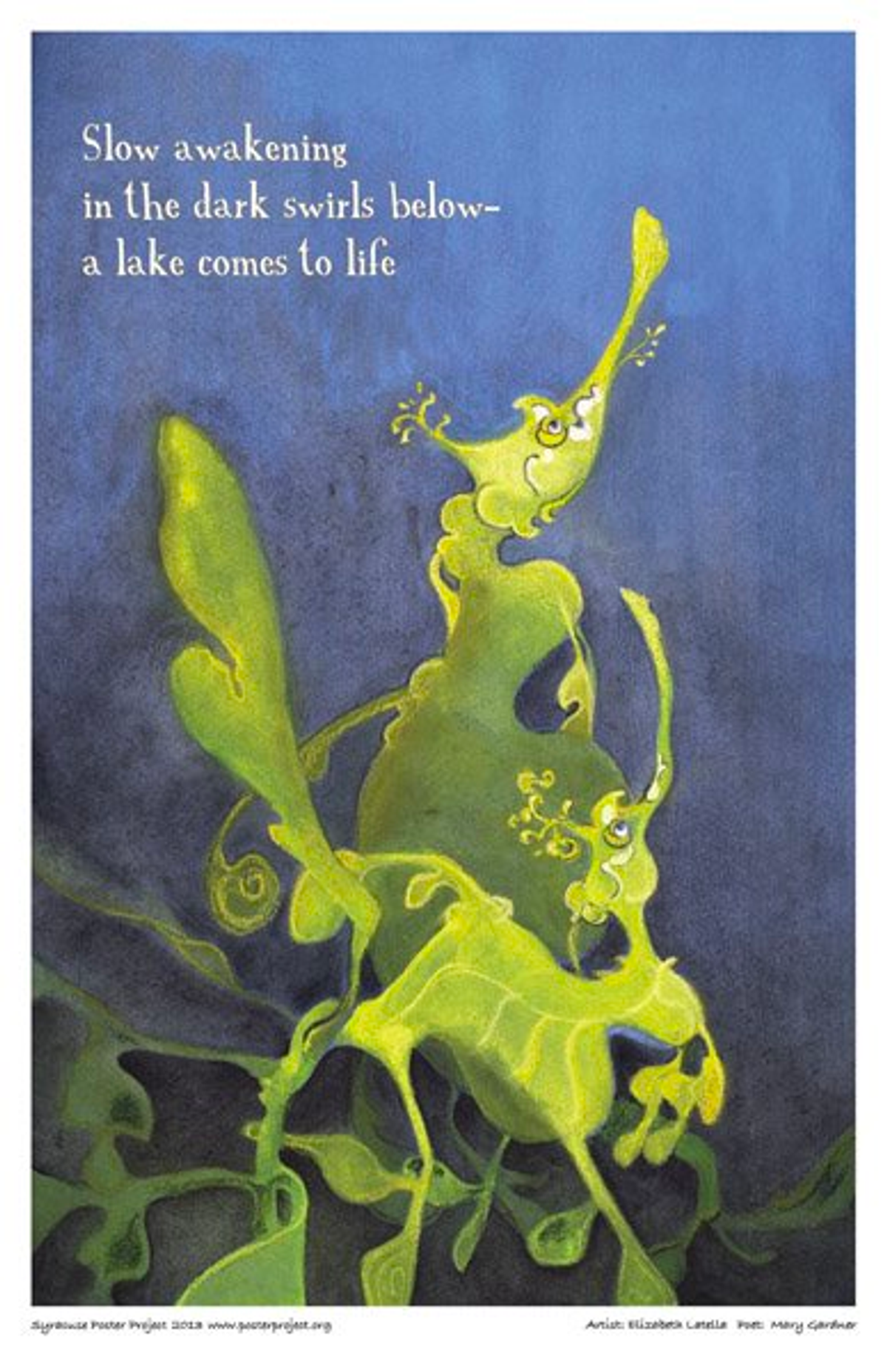 Slow awakening
in the dark swirls below ”
a lake comes to life. Slow Awakening