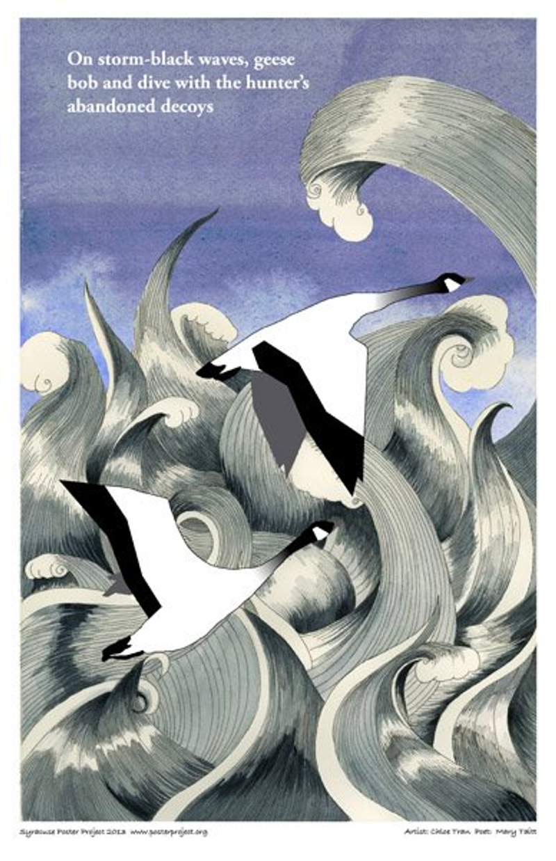 Two geese fly above turbulent waters