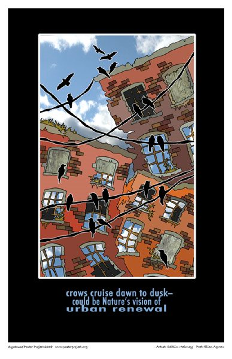 Crows Cruise Dawn to Dusk