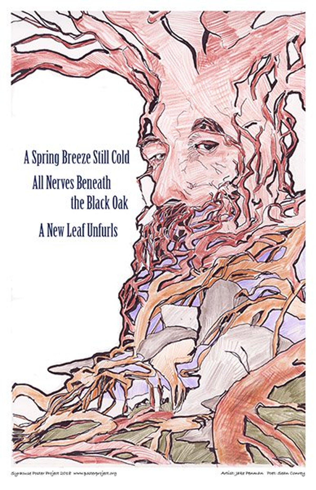 A spring breeze still cold
All nerves beneath the black oak
A new leaf unfurls A large oak with a face in its trunk and its eyes looking at the viewer