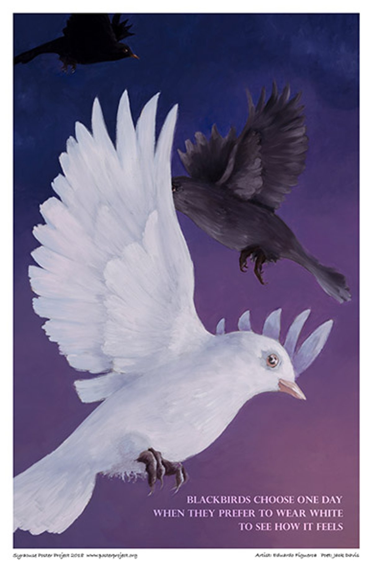 Three blackbirds one white fly against a purple sky