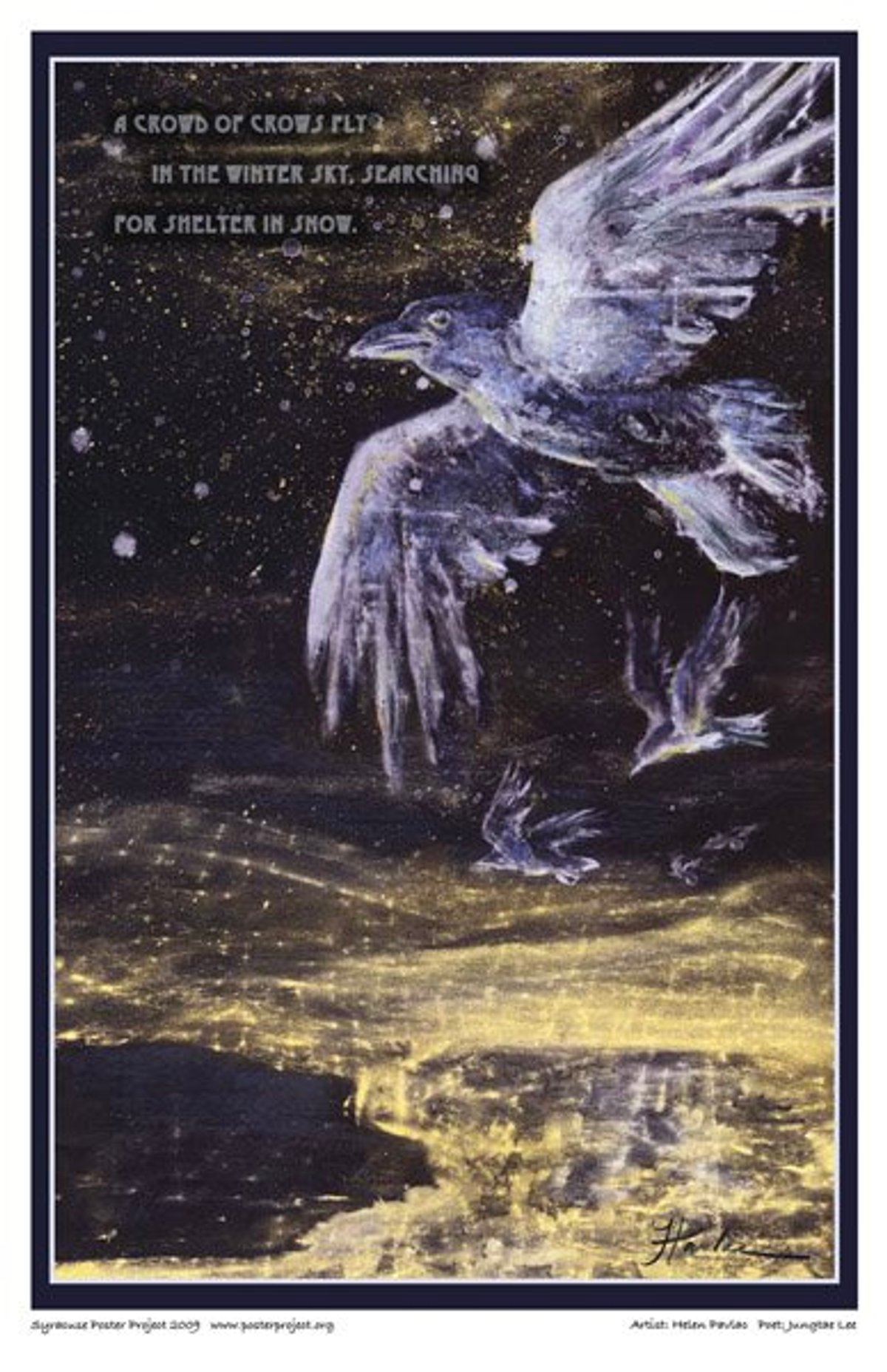 Crows fly through snow under a dark night sky