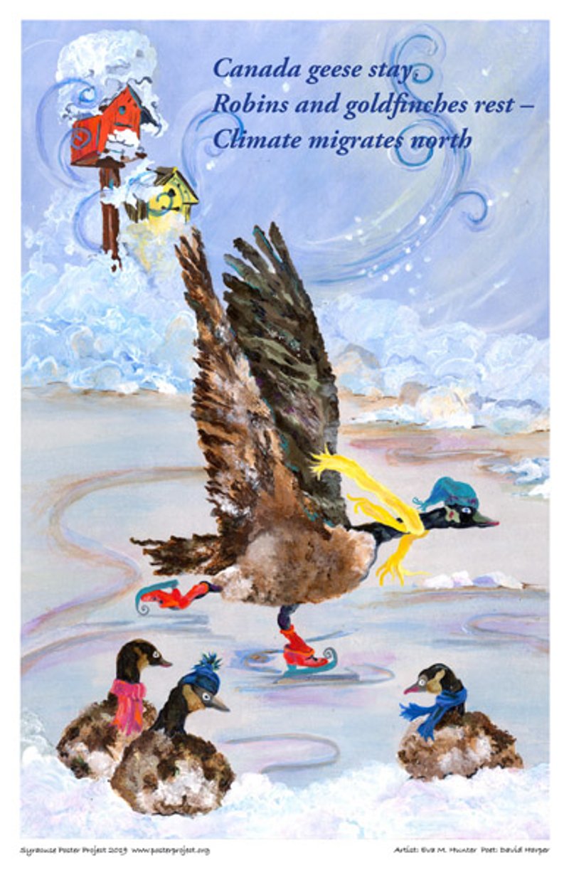 A Canada goose ice skates while three other geese sit and watch
