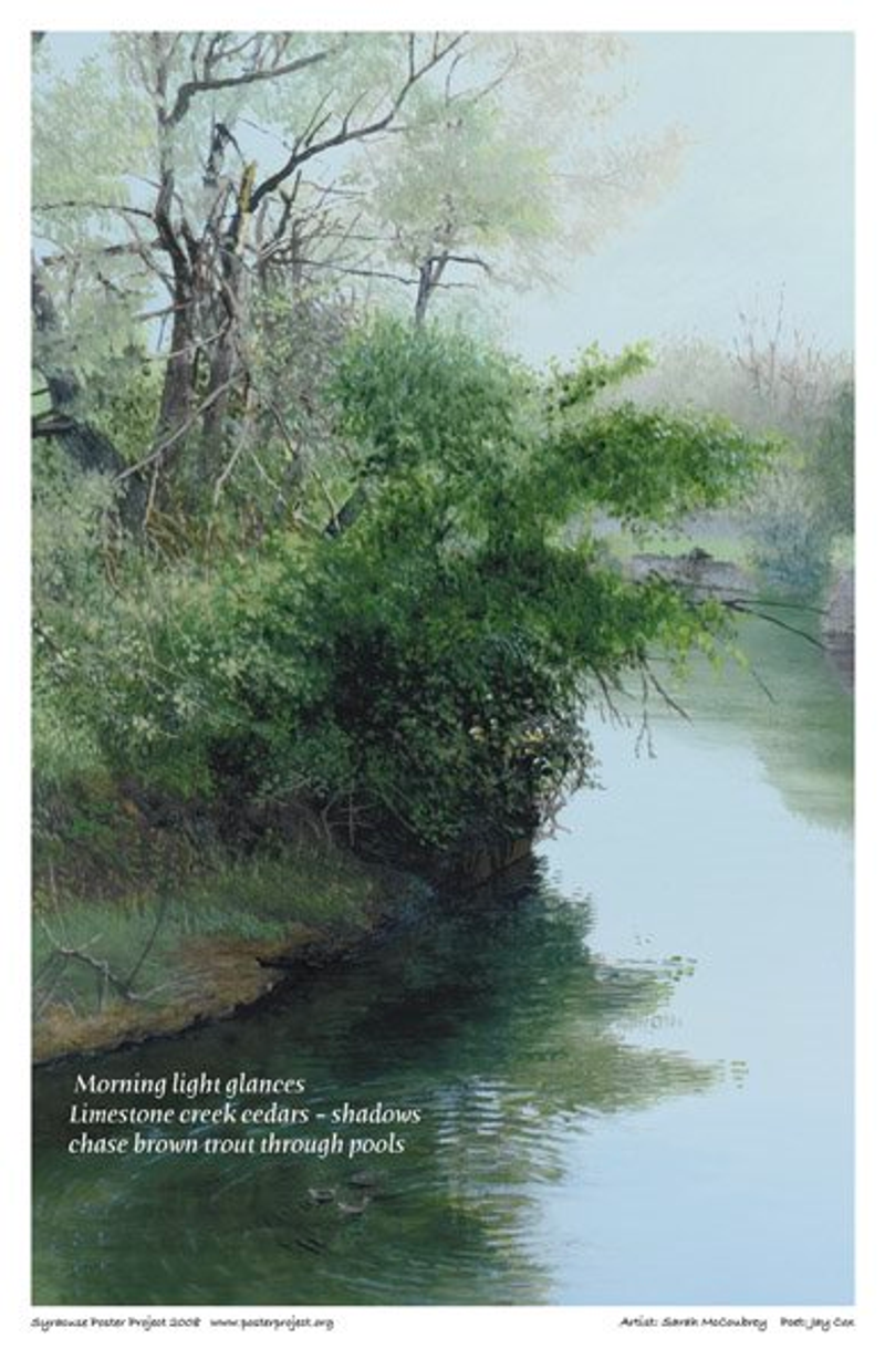 A wooded bit of land creates a bend in a peaceful creek