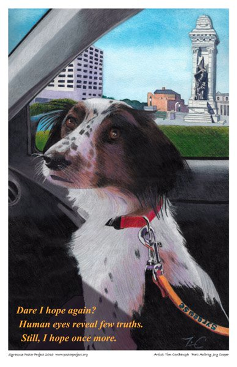 A dog with an orange "Syracuse" leash rides shotgun with the statue of Syracuse's Clinton Square visible out the passenger side window